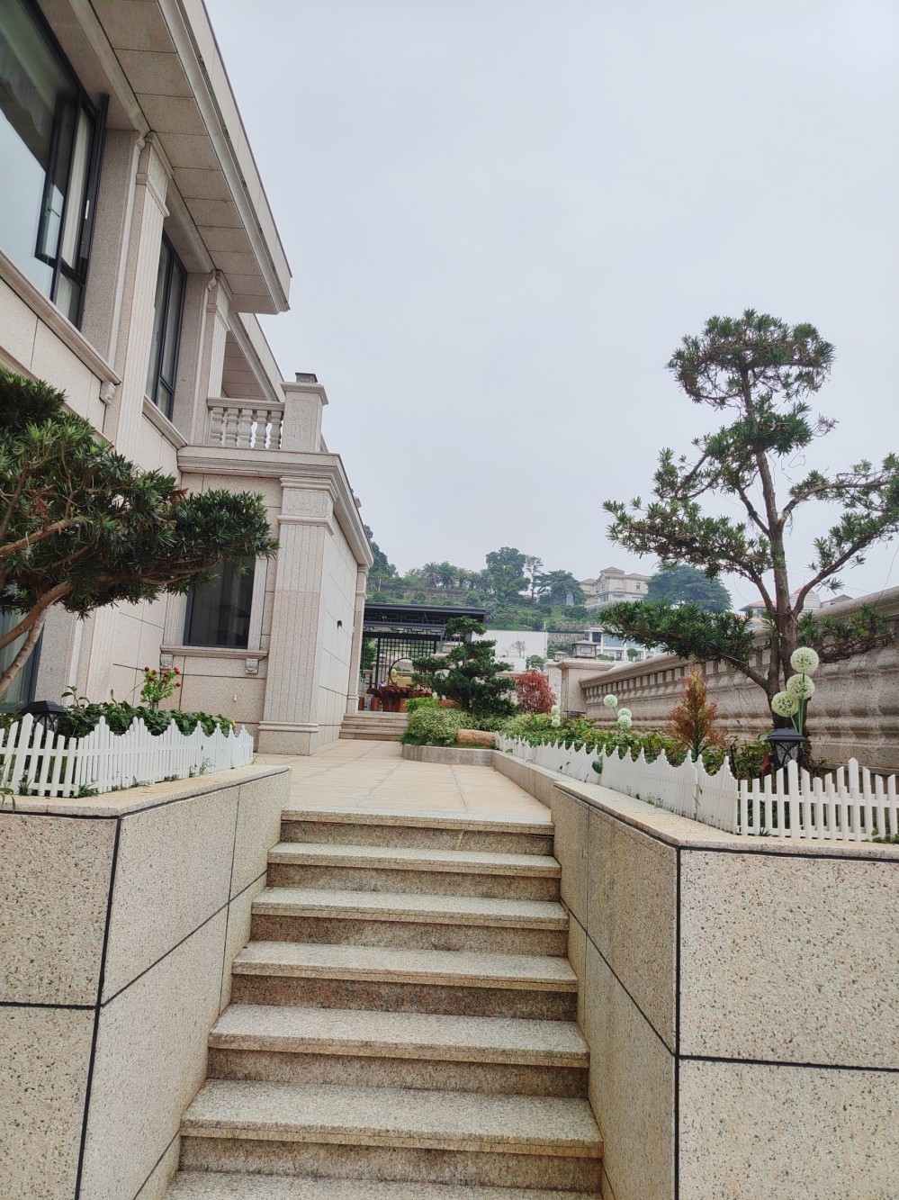 1768792171301327.jpg 75.jpg